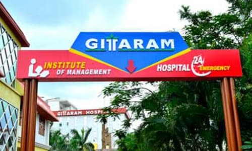 Gita Ram Institute Of Nursing