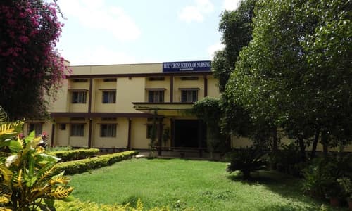 Holy Cross College Of Nursing