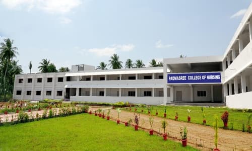 Padmasree College Of Nursing